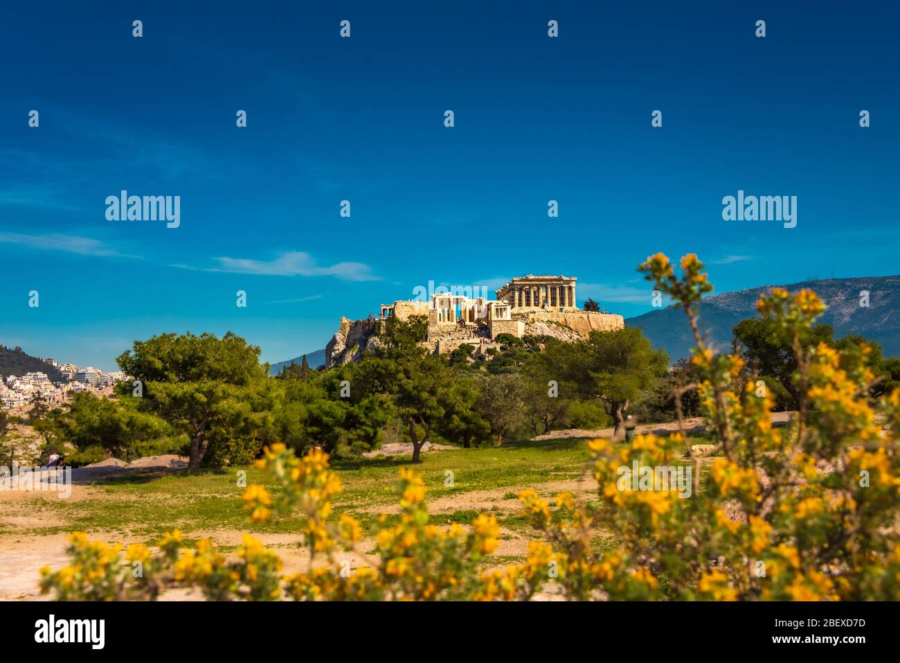 Incredible view of the Greek Acropolis during spring shot from the ...