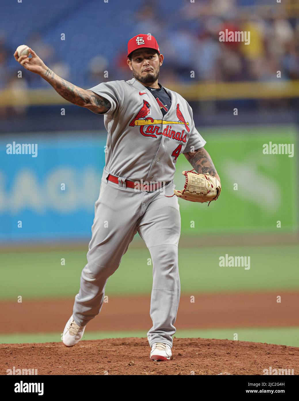 St. Petersburg, FL. USA; St. Louis Cardinals catcher Yadier Molina (4 ...