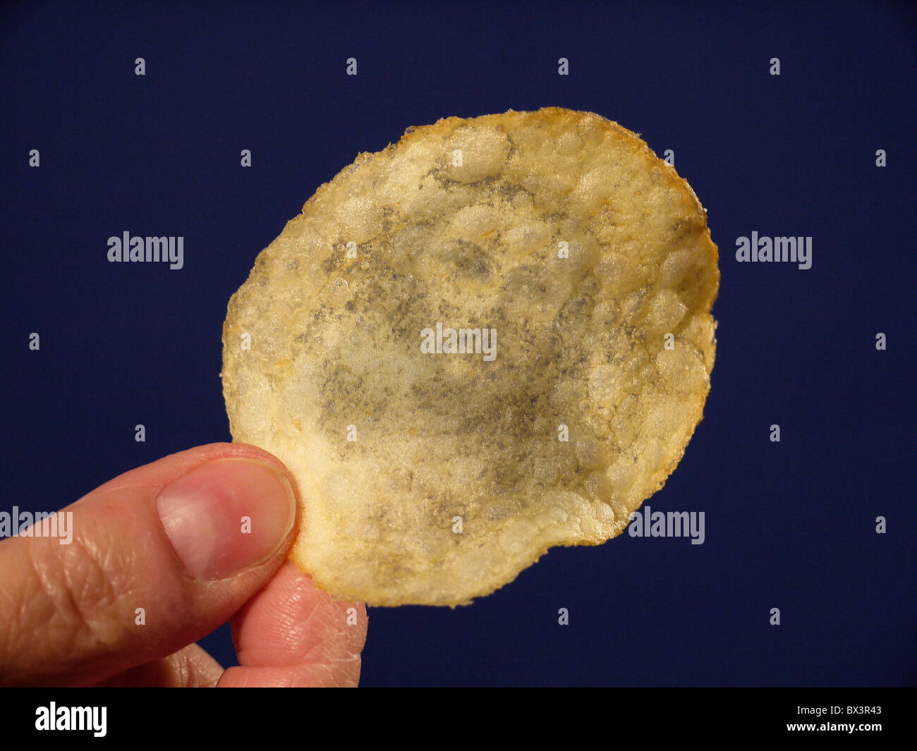 Jesus sighting in a potato chip Stock Photo Alamy