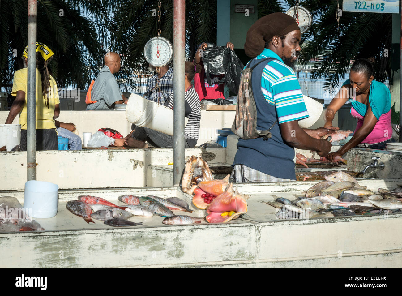 St. Johns Public Fish Market, St. John's, Antigua Stock Photo Alamy