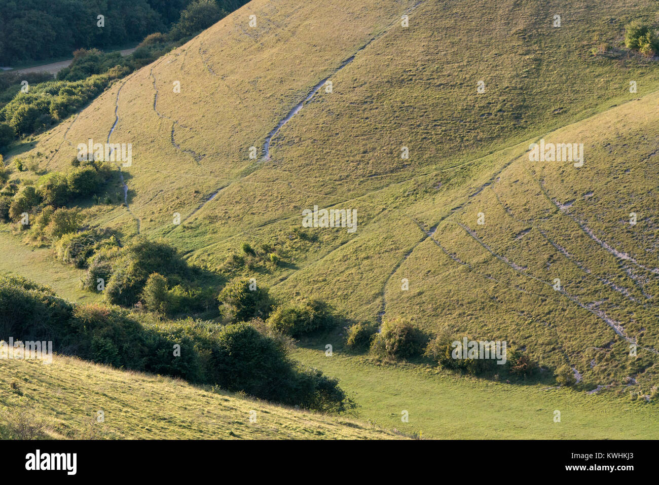 Barton Hills National Nature Reserve in BartonleClay, Bedfordshire