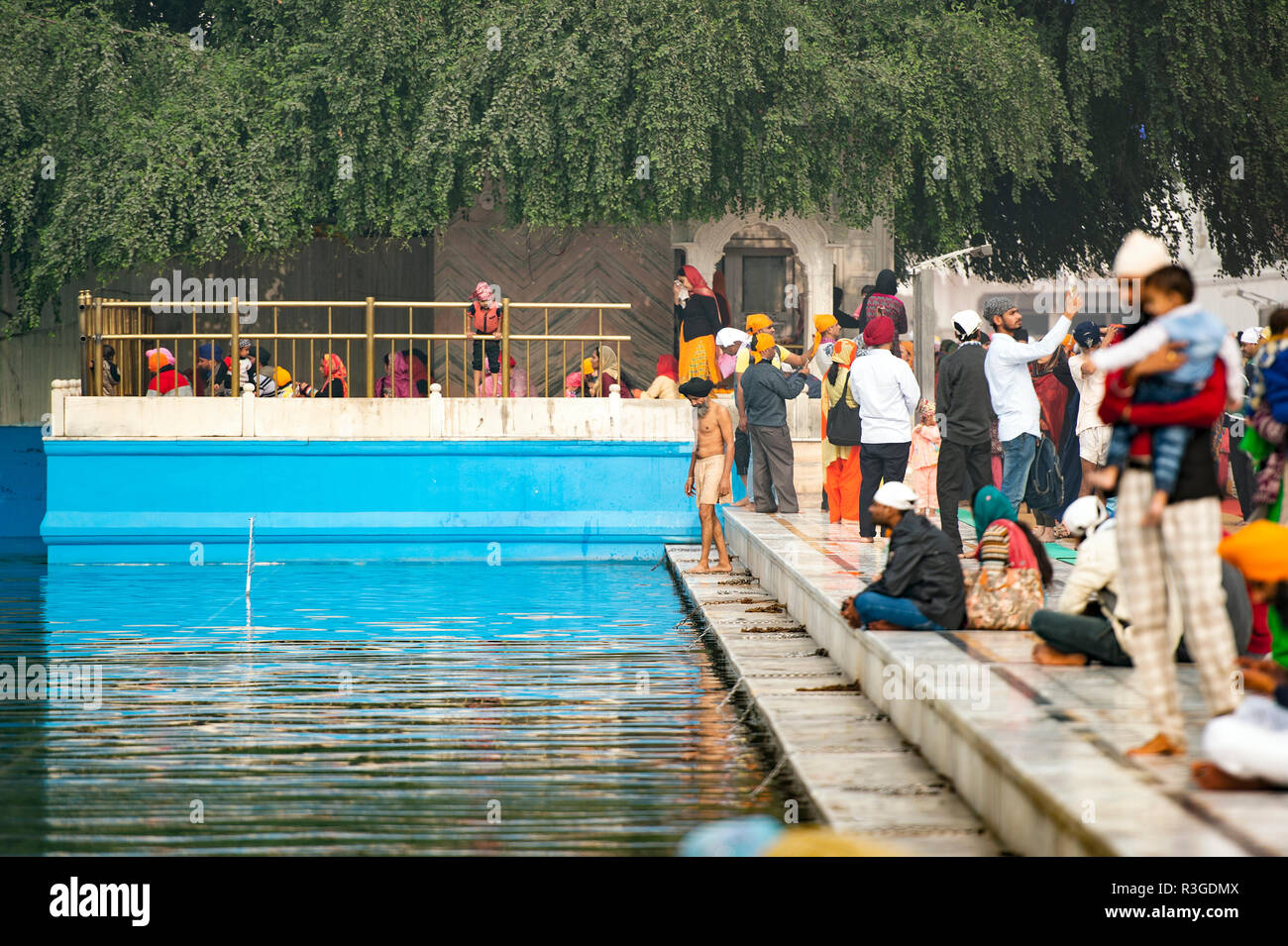 AMRITSAR PUNJAB INDIA. 13 NOVEMBER 2017. Some Sikh religious take a purifying bath in the