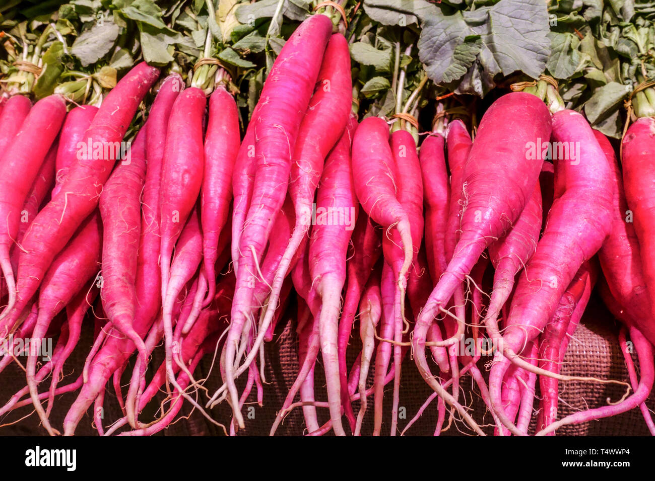 Long red radishes on the market, root Spain Stock Photo Alamy
